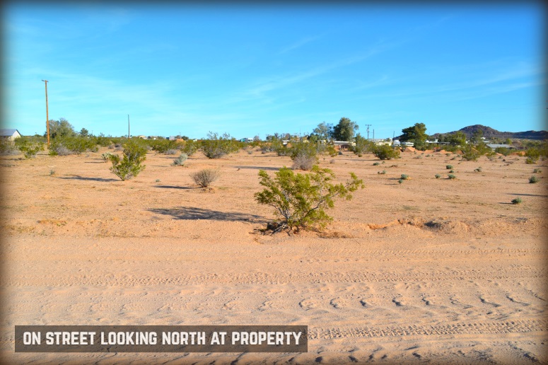 Shifting Sands Drive